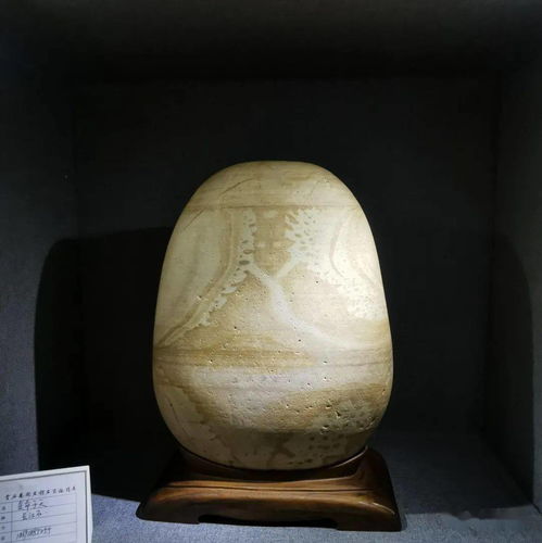 中國(guó)賞石藝術(shù)雙年展 水泥構(gòu)件中的別有洞天
